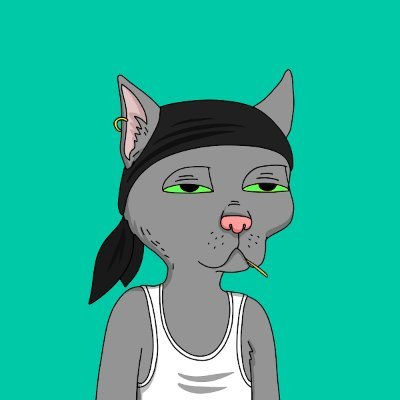 ct_python's profile picture. Football ⚽. Crypto Enthusiast. #KLAY #EGLD #FTM #ICP #EOS  #CloneX #Dippies #Quirkies.