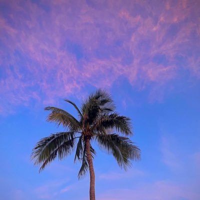 KarlyStone01's profile picture. 