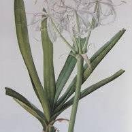 EdwinaEdward3's profile picture. Throwing away millions: When art collectors underestimated NFTs | Daily  Sabah