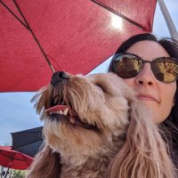TeresaLovesOhioCHCs (@trblovesohiochc) 's Twitter Profile