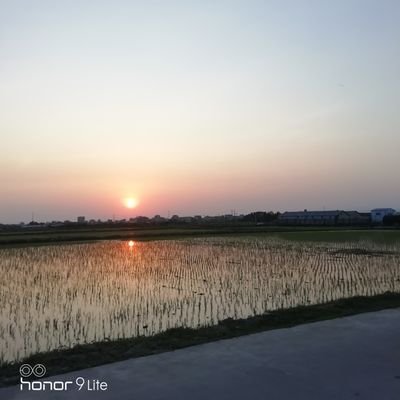 少年，中华民国已成为过去，台湾只是一个非法政权，统一是大势所趋，民心所盼，来到推特看到的是绿营的网军，不要被这些所迷惑，台湾同胞的心是和我们一样的，为维护祖国统一和国家尊严而战斗吧（坚决同破坏民族团结和国家统一的行为作斗争，反对台独疆独藏独港独澳独台独。）
