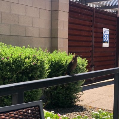 11_Twentytwo's profile picture. Welcome to a little world of everything..