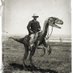 weird History (@weird_pixs) Twitter profile photo weird History (@weird_pixs) Twitter profile photo