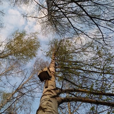 viejo_enma's profile picture. energy engineer