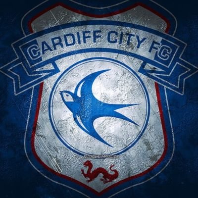 @CardiffCityFC fan 🏴󠁧󠁢󠁷󠁬󠁳󠁿⚽️