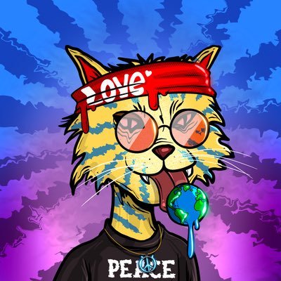 donnieamiller's profile picture. 