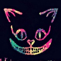 裏ネコ男子 (@umaibo0000) Twitter profile photo