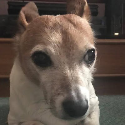 w18498196's profile picture. 