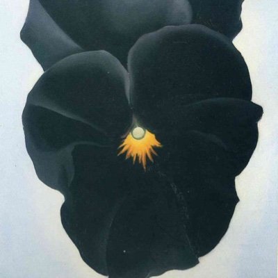 a_frangie's profile picture. Ultra Super Duper Mega  MAGA 🇺🇸 😎🇺🇸