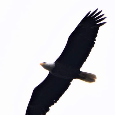 Ruth197217365's profile picture. 