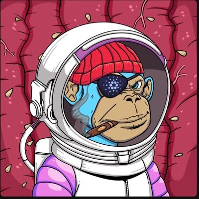 jarek_vrana's profile picture. 