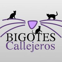 Asociación Protectora Bigotes Callejeros Zaragoza(@bigotescalleje1) 's Twitter Profile Photo