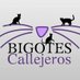 Asociación Protectora Bigotes Callejeros Zaragoza (@bigotescalleje1) Twitter profile photo Asociación Protectora Bigotes Callejeros Zaragoza (@bigotescalleje1) Twitter profile photo