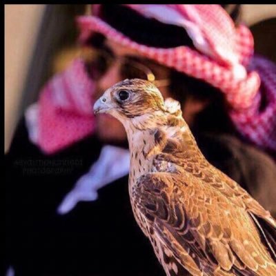 (مَا يَلْفِظُ مِنْ قَوْلٍ إِلَّا لَدَيْهِ رَقِيبٌ عَتِيدٌ )