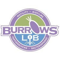 Lori L. Burrows(@Dr_Lori_Burrows) 's Twitter Profile Photo