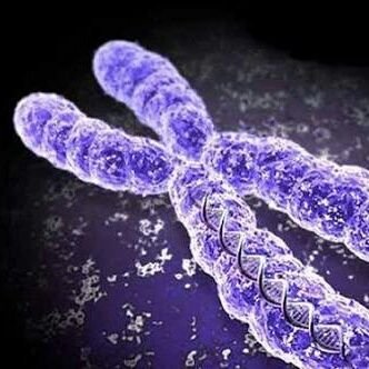 #Genetic #Dna #Rna #molecular_biology
MSc Molecular biology 
#مترجم لغة انجليزية ولغة تركية.. حسين_جبارة#