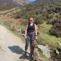 Harriet (@harrietcslt) 's Twitter Profile