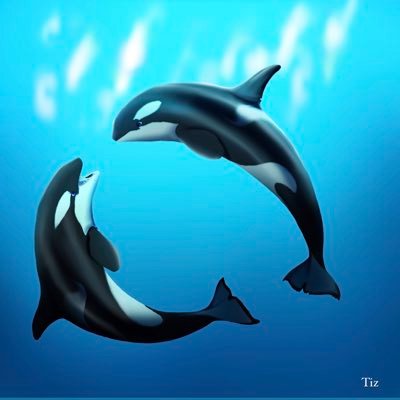 tiz_just_orca Profile Picture