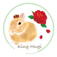 Mugi the King / うさぎ王むぎ(@mktm20111210881) 's Twitter Profile Photo