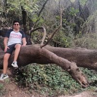 Ernesto Romero (@_ernestoromero) 's Twitter Profile