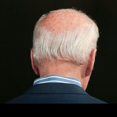 Schmedlon's profile picture. ABOLISH THE HOODIE!

I form opinions based on facts, those opinions will not be changed with lies!
 I think I'm funny..so that makes one of us!   That/Those