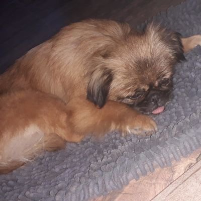 veroofrias12's profile picture. 