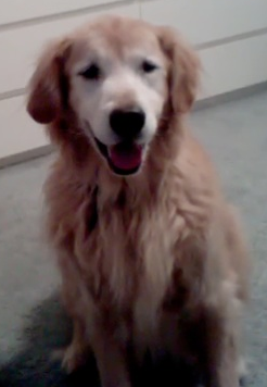 jrubinto's profile picture. 