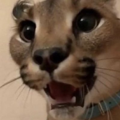 blabla8985's profile picture. league twitter is corrupting my porn timeline help