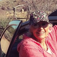 Lyn Moss (@froniterlyn) 's Twitter Profile