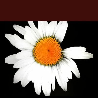 @Tito11983526