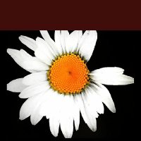 Tito (@tito11983526) 's Twitter Profile Photo Tito (@tito11983526) 's Twitter Profile Photo