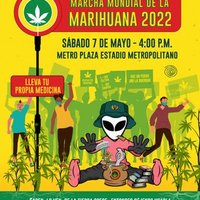 Comunidad Cannabica De Barranquilla(@oficialccbaq) 's Twitter Profile Photo