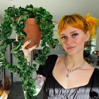 Fern (@_wildfern) 's Twitter Profile