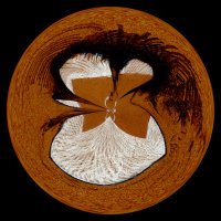 RUST and ~moth~ (@rustandmoth3) 's Twitter Profile