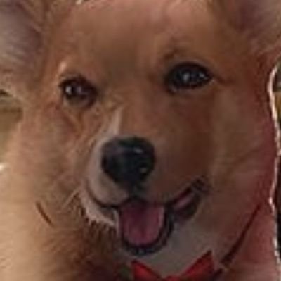 eenot_s's profile picture. 