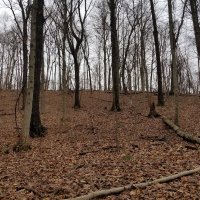 J B (@flintlock_1858) 's Twitter Profile