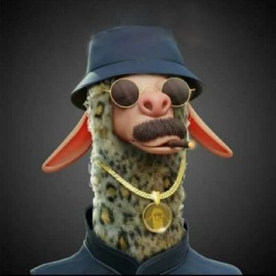 AliShafat6's profile picture. 