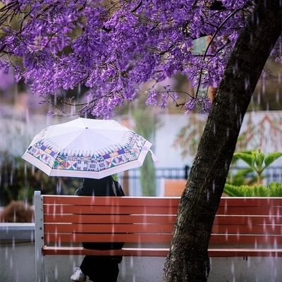 NAMO20TH1's profile picture. سبحانك اللهم