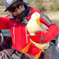 松田直人 (@naoto_matsuda) 's Twitter Profile