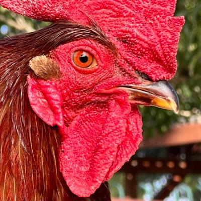 JayR95170305's profile picture. 