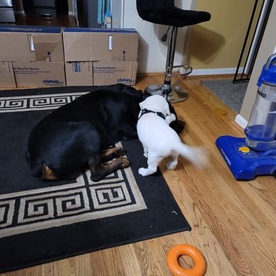 1b8e10711cf748e's profile picture. 