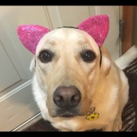 Rebecca Lodahl (@beccalodahl) 's Twitter Profile Photo Rebecca Lodahl (@beccalodahl) 's Twitter Profile Photo