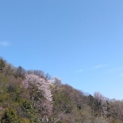 あいこくさんのプロフィール画像