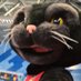 Eug (@knytevan) Twitter profile photo Eug (@knytevan) Twitter profile photo