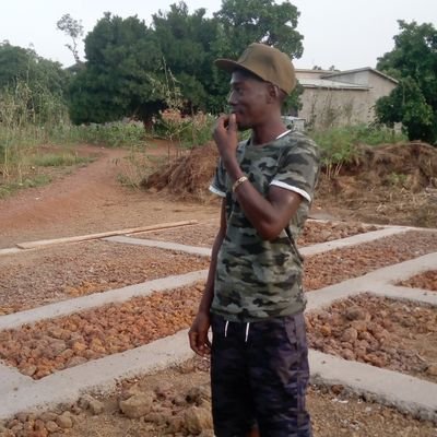 Safayou11's profile picture. N S B