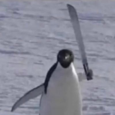 FloSchaperstein's profile picture. El 43 tatuate