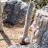 thumbing_thru's profile image
