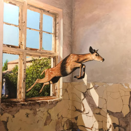 m0istmop's profile picture. Ozzie @bizbb_