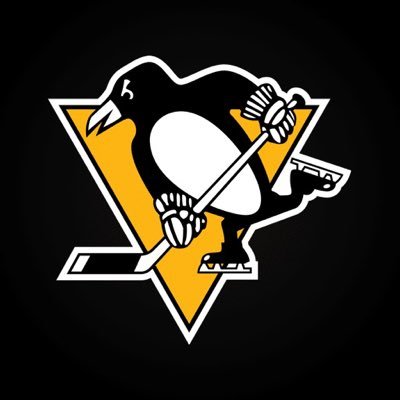 vanlig kille som gillar Ishockey och Motorsport. Pittsburgh Penguins🐧🖤💛🖤Färjestad 💚 👀🚗🔄🙌