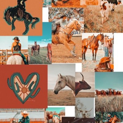 EP|TX 🌵 “Save a horse ride a cowboy “💛🐮